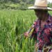PL 121/2022 propõe inclusão obrigatória de produtos da agricultura familiar nas cestas básicas do governo federal.