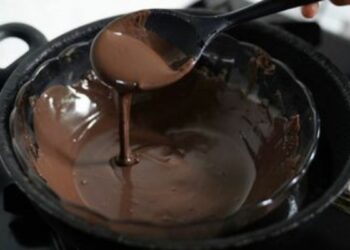 Em Tefé (AM), mulheres produzem chocolate artesanal a partir de cacau orgânico, unindo tradição familiar e apoio científico para gerar renda sustentável na região.