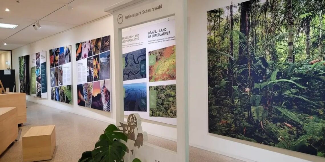 Exposição na Alemanha destaca biodiversidade dos parques nacionais do Itatiaia e Pico da Neblina, fortalecendo cooperação ambiental entre Brasil e Europa.