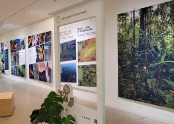 Exposição na Alemanha destaca biodiversidade dos parques nacionais do Itatiaia e Pico da Neblina, fortalecendo cooperação ambiental entre Brasil e Europa.
