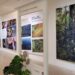 Exposição na Alemanha destaca biodiversidade dos parques nacionais do Itatiaia e Pico da Neblina, fortalecendo cooperação ambiental entre Brasil e Europa.