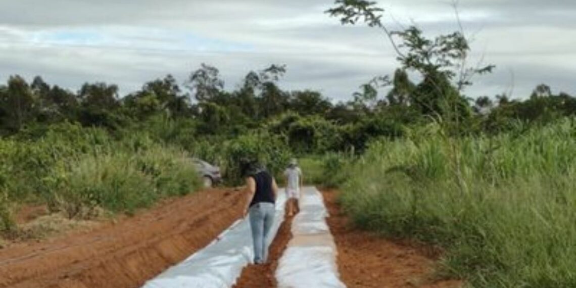 Incra destina R$ 1,3 milhão em crédito Fomento Mulher em 2026 para famílias assentadas em SP, incentivando produção e autonomia feminina.