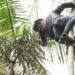 Governo investe R$ 132 milhões em regularização fundiária e assistência técnica na Amazônia Legal para combater o desmatamento e apoiar agricultores.