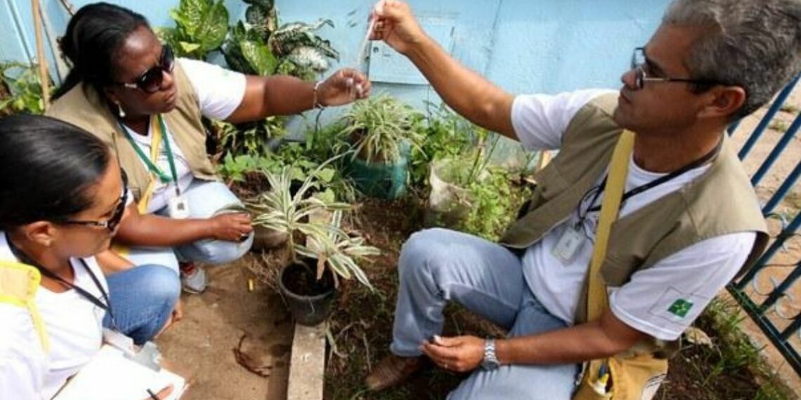 Ministério da Saúde intensifica combate à chikungunya em Dourados com novos agentes, ações emergenciais e apoio às comunidades indígenas.