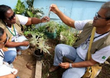 Ministério da Saúde intensifica combate à chikungunya em Dourados com novos agentes, ações emergenciais e apoio às comunidades indígenas.