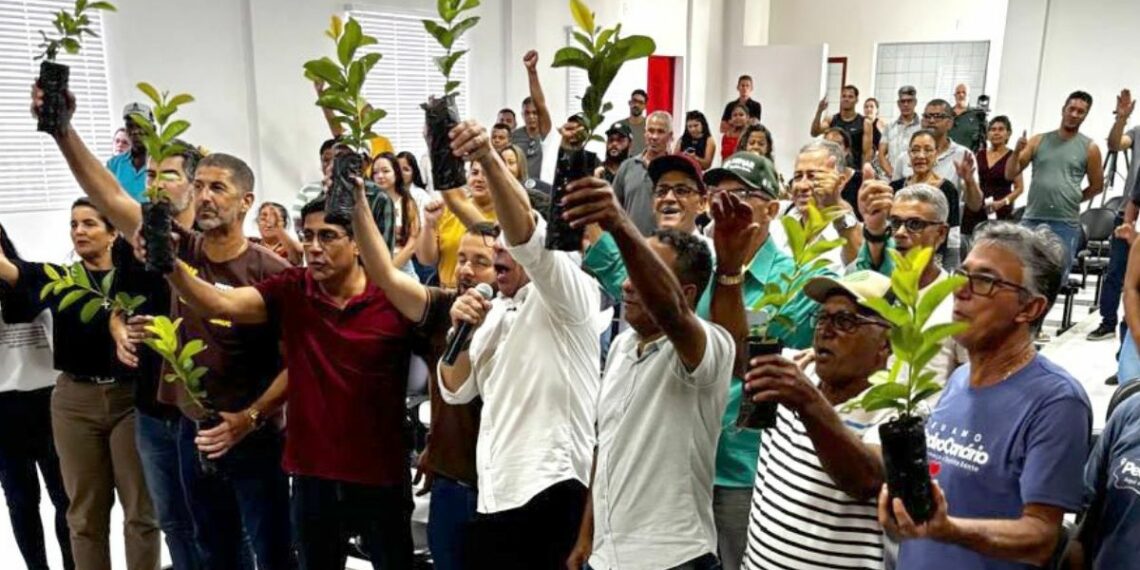 Projeto Arranjos Produtivos fortalece agricultura familiar no norte capixaba com entrega de mudas, incentivo à diversificação e aumento da renda rural.
