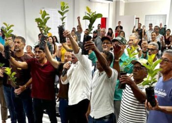 Projeto Arranjos Produtivos fortalece agricultura familiar no norte capixaba com entrega de mudas, incentivo à diversificação e aumento da renda rural.