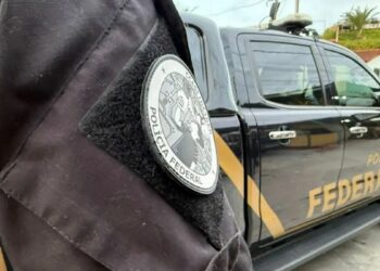 Mais de 2,5 toneladas de maconha foram apreendidas na BR-277, em Guarapuava (PR), escondidas sob carga de alho. Motorista foi preso em operação integrada.