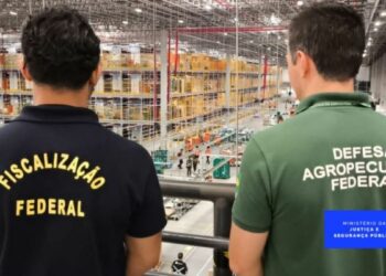 Operação Páscoa Segura retira cerca de 2 mil anúncios irregulares de alimentos em plataformas digitais. Ação combate fraudes e protege consumidores na Semana Santa.