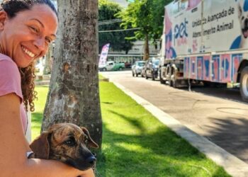 Programa Pet Vida realiza castração, microchipagem e vacinação gratuita de cães e gatos em Marataízes, promovendo saúde pública e bem-estar animal.