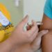 São Paulo confirma novos casos de febre amarela em 2026, com mortes no Vale do Paraíba; autoridades reforçam importância da vacinação gratuita.