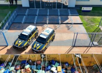 Polícia Rodoviária Federal apreende 12,6 toneladas de maconha em MS, a maior ocorrência de 2026. Droga seguia para Curitiba escondida em carga de soja.