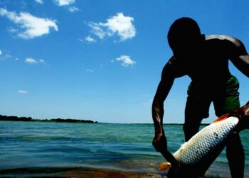 Portaria interministerial fortalece gestão sustentável da pesca no Brasil com foco em monitoramento, dados e conservação ambiental.