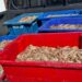 Quatro pescadores foram presos pela Polícia Federal com 350 kg de camarão rosa durante o período de defeso na Baía de Sepetiba, em Itaguaí (RJ), reforçando o combate à pesca ilegal.