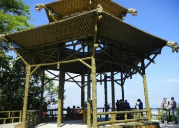 Parque Nacional da Tijuca registra recorde de quase 5 milhões de visitantes em 2025 e anuncia novas obras de modernização e preservação ambiental no Rio de Janeiro.