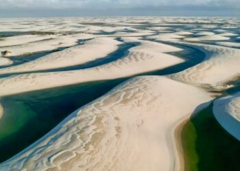 Relatório da Unesco revela que áreas protegidas ajudam a preservar biodiversidade, armazenar carbono e sustentar comunidades, mas enfrentam pressões ambientais crescentes.