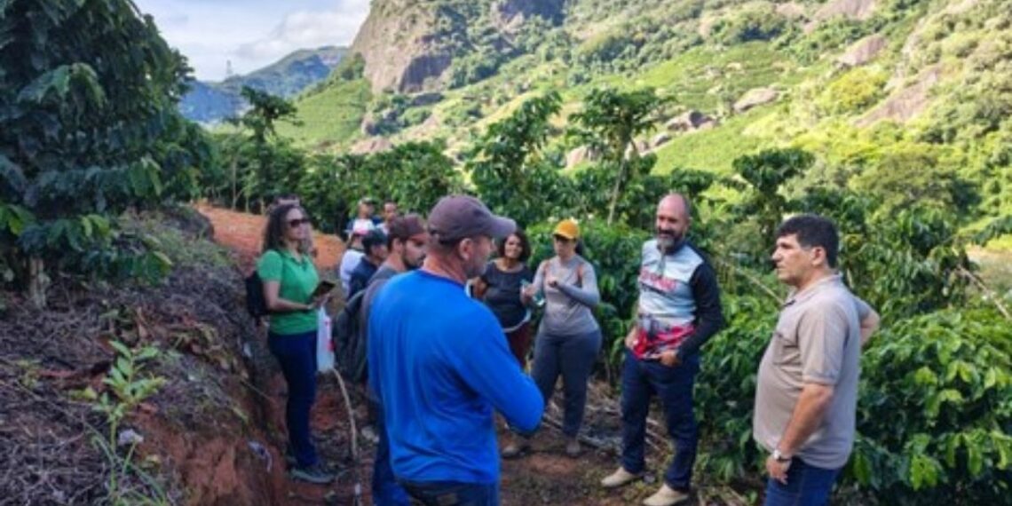 Eventos técnicos de cafeicultura no Espírito Santo alcançam mais de mil participantes e reforçam práticas sustentáveis no setor cafeeiro.