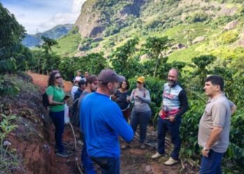 Eventos técnicos de cafeicultura no Espírito Santo alcançam mais de mil participantes e reforçam práticas sustentáveis no setor cafeeiro.
