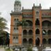 Fiocruz e Ministério das Cidades lançam editais voltados à cultura nas periferias, com formação e intervenções artísticas no Rio de Janeiro.