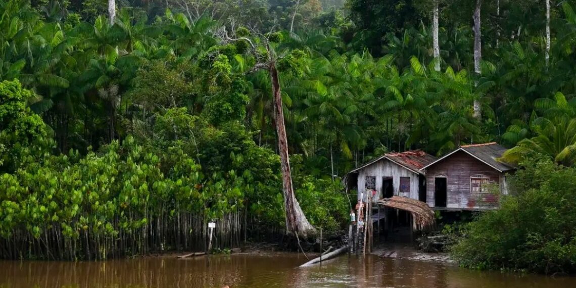 Projeto do SUS avança no tratamento da Doença de Jorge Lobo, doença rara da Amazônia, com melhora em mais de 50% dos pacientes.