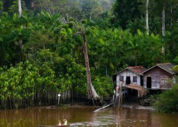 Projeto do SUS avança no tratamento da Doença de Jorge Lobo, doença rara da Amazônia, com melhora em mais de 50% dos pacientes.