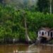 Projeto do SUS avança no tratamento da Doença de Jorge Lobo, doença rara da Amazônia, com melhora em mais de 50% dos pacientes.