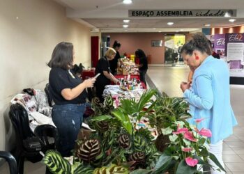 Feira na Assembleia Legislativa oferece presentes artesanais para o Dia das Mães com preços acessíveis e incentivo ao empreendedorismo.