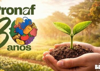 Pesquisa inédita mostra que o Pronaf eleva em cerca de 18% a produção da agricultura familiar, fortalece renda no campo e amplia desenvolvimento regional.