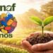 Pesquisa inédita mostra que o Pronaf eleva em cerca de 18% a produção da agricultura familiar, fortalece renda no campo e amplia desenvolvimento regional.