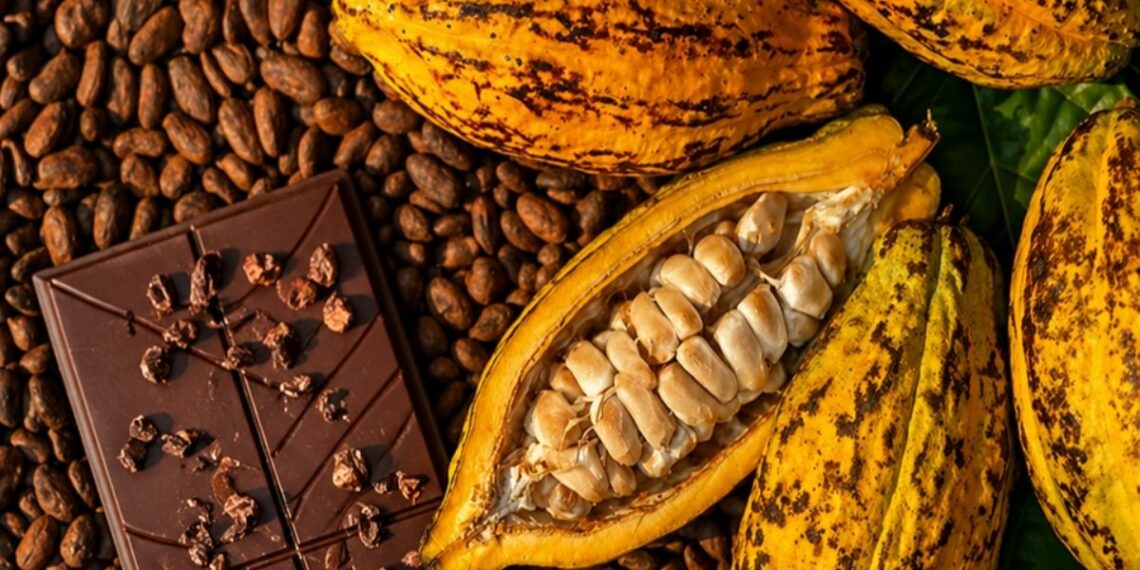 Produtores rurais do Espírito Santo já podem se inscrever no 10º Concurso da Qualidade de Amêndoas do Cacau Capixaba. Premiação chega a R$ 6 mil.