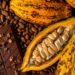 Produtores rurais do Espírito Santo já podem se inscrever no 10º Concurso da Qualidade de Amêndoas do Cacau Capixaba. Premiação chega a R$ 6 mil.