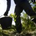 Plano Nacional de Desenvolvimento da Bioeconomia quer transformar biodiversidade em ativo econômico, com metas para indústria, serviços ambientais e uso sustentável de recursos naturais.