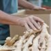 Projeto de lei propõe a criação da Rota do Gengibre na Região Serrana do Espírito Santo, incentivando o turismo rural e valorizando a produção agrícola local.