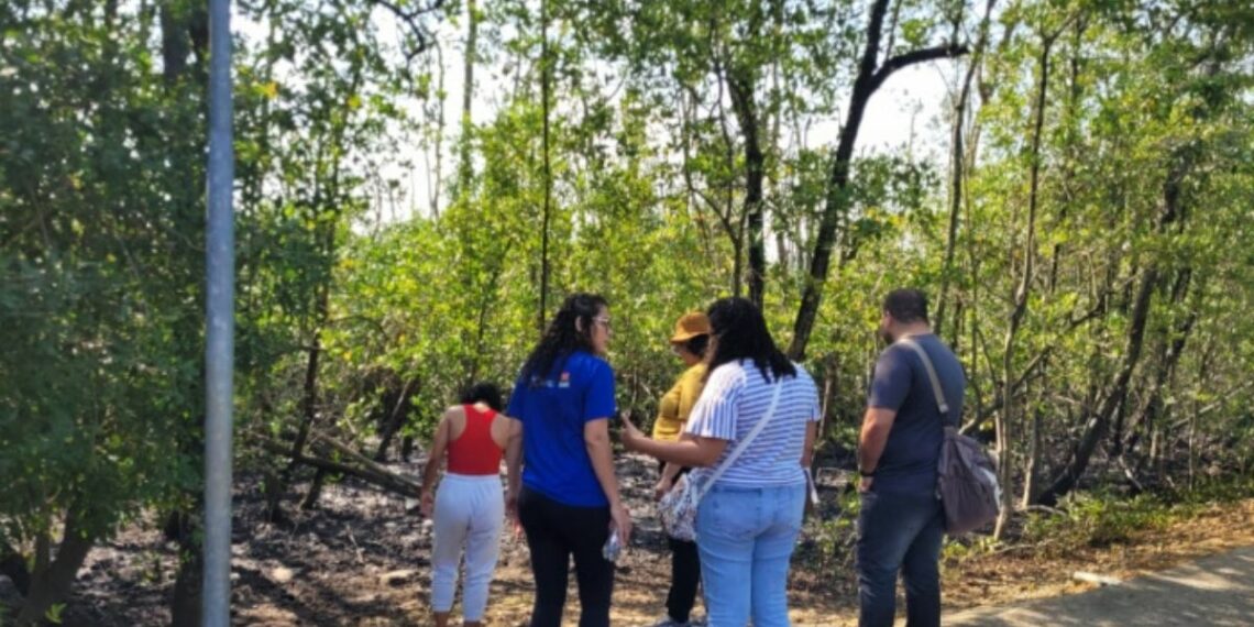 Vitória inicia curso de educação ambiental para servidores da assistência social, com atividades em parques e foco em sustentabilidade e cidadania.