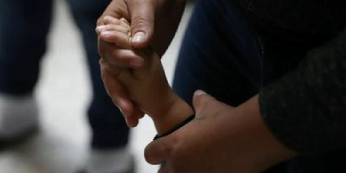 Estudo inédito da Abin e OIM revela panorama do contrabando de migrantes no Brasil em 2025, com foco em inteligência, cooperação internacional e proteção de direitos humanos.