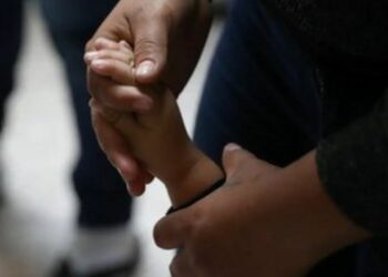 Estudo inédito da Abin e OIM revela panorama do contrabando de migrantes no Brasil em 2025, com foco em inteligência, cooperação internacional e proteção de direitos humanos.