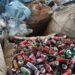 Lei sancionada em 2026 assegura incentivos fiscais de PIS/Pasep e Cofins para materiais recicláveis, fortalece a reciclagem e impulsiona a Política Nacional de Resíduos Sólidos no Brasil.