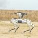 Cães robôs armados deixam de ser ficção e entram em testes militares na China, marcando nova era na tecnologia de guerra.