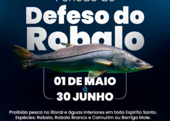 Período de defeso do robalo branco começa em 1º de maio no Espírito Santo. Pesca e comércio do peixe ficam proibidos até 30 de junho, salvo com origem legal comprovada.