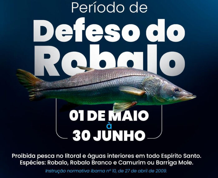 Período de defeso do robalo branco começa em 1º de maio no Espírito Santo. Pesca e comércio do peixe ficam proibidos até 30 de junho, salvo com origem legal comprovada.