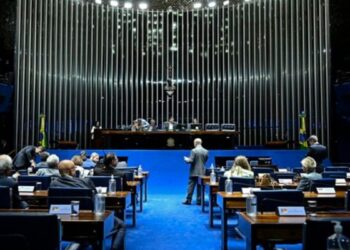 Senado Federal pode votar novo piso salarial dos professores da educação básica e projetos sobre violência doméstica, proteção infantil e benefícios fiscais.