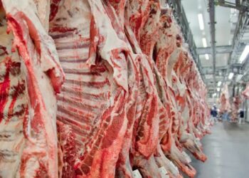 Governo brasileiro reage à decisão da União Europeia de retirar o Brasil da lista de exportadores de produtos de origem animal para consumo humano.