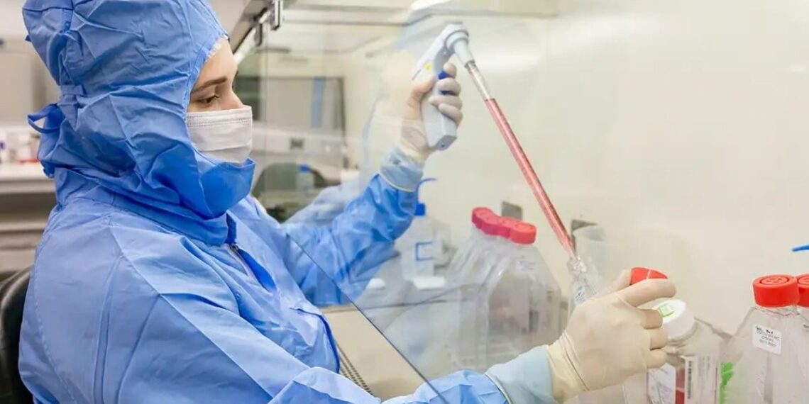 Pesquisadores da PUCPR desenvolvem terapia inovadora com células-tronco para tratar complicação grave após transplante de medula óssea. Estudo teve resultados promissores.