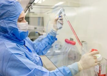 Pesquisadores da PUCPR desenvolvem terapia inovadora com células-tronco para tratar complicação grave após transplante de medula óssea. Estudo teve resultados promissores.