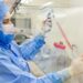 Pesquisadores da PUCPR desenvolvem terapia inovadora com células-tronco para tratar complicação grave após transplante de medula óssea. Estudo teve resultados promissores.