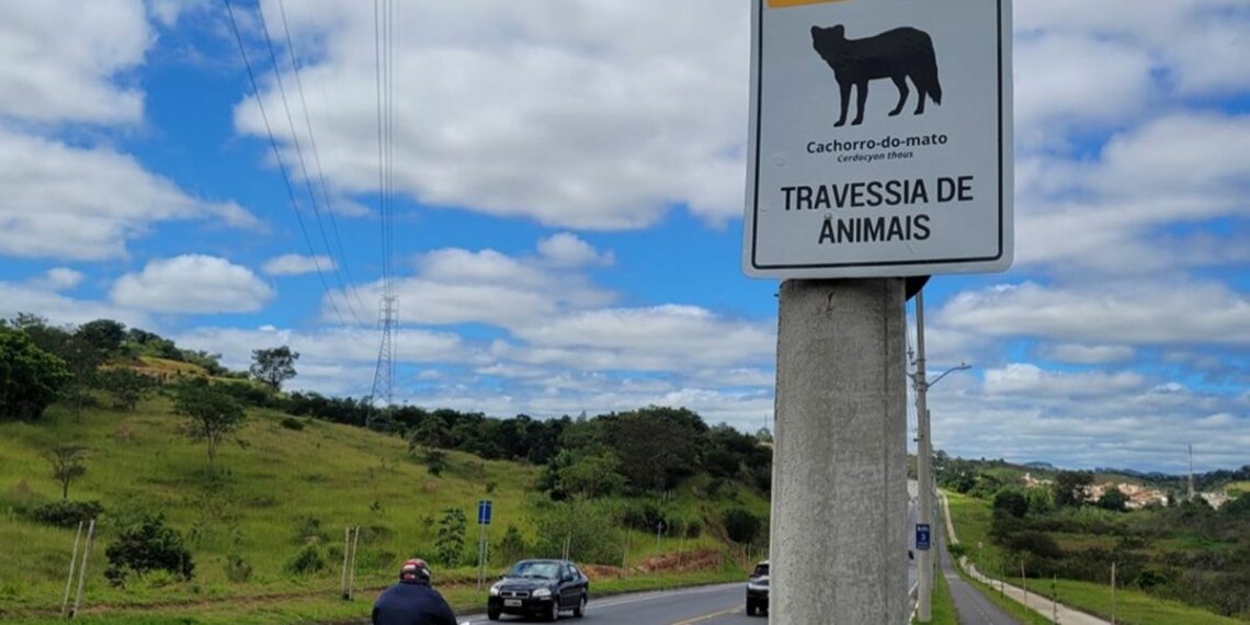 Deputada Janete de Sá apresentou projeto que cria a Semana Estadual de Conscientização contra o Atropelamento de Animais em Rodovias no Espírito Santo.