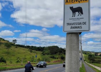 Deputada Janete de Sá apresentou projeto que cria a Semana Estadual de Conscientização contra o Atropelamento de Animais em Rodovias no Espírito Santo.