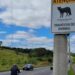 Deputada Janete de Sá apresentou projeto que cria a Semana Estadual de Conscientização contra o Atropelamento de Animais em Rodovias no Espírito Santo.