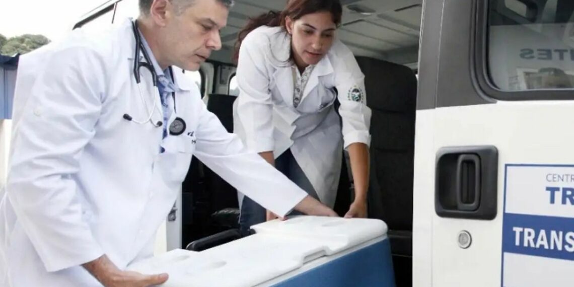 Brasil registra recorde de 31 mil transplantes em 2025, com aumento de 21% em relação a 2022. SUS financia 86% dos procedimentos realizados no país.