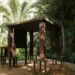 Instituto Inhotim, em Brumadinho, anuncia novas exposições e homenagens para celebrar 20 anos do maior museu a céu aberto da América Latina.